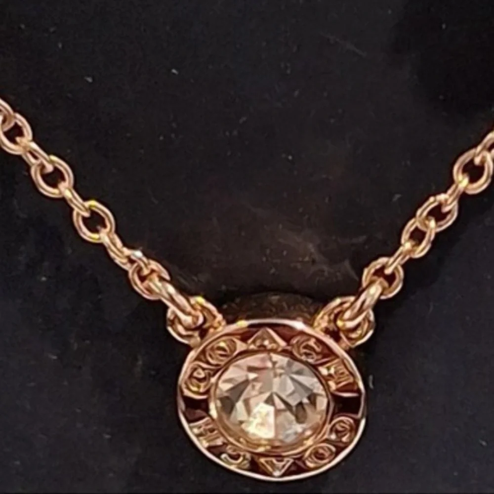 Coach Rose Gold Necklace and Earring Set - Picture 5 of 6